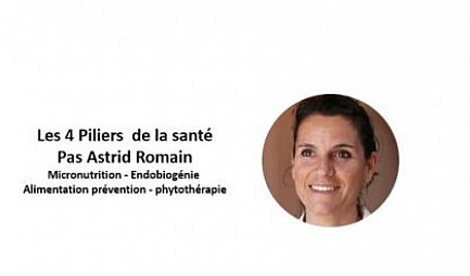 Les Quatre Piliers de la Santé : Une Approche globale pour un Bien-être Optimal