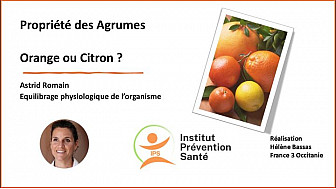 Citron vs Orange : Un Duel Savoureux  par Astrid Romain - Micronutritionniste - Endobiogéniste - Acteurs Locaux 82